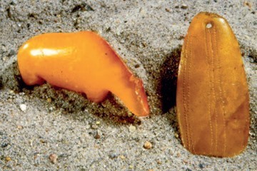 Figure 8: Amber bear and pendant found on Fano (Vang Petersen 2013).